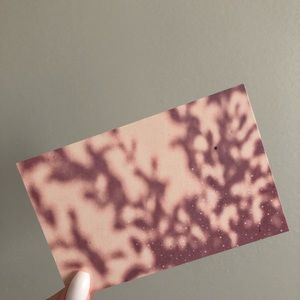 🌻10/$10🌻 Postcard Wall Deco Picture